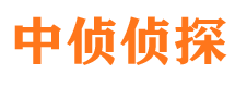 肥乡侦探社